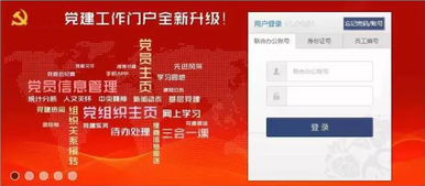 上海互聯(lián)網(wǎng)軟件集團(tuán) 高端協(xié)同管理軟件產(chǎn)品和咨詢服務(wù)提供商